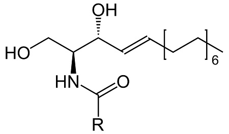 Ceramides 100403-19-8
